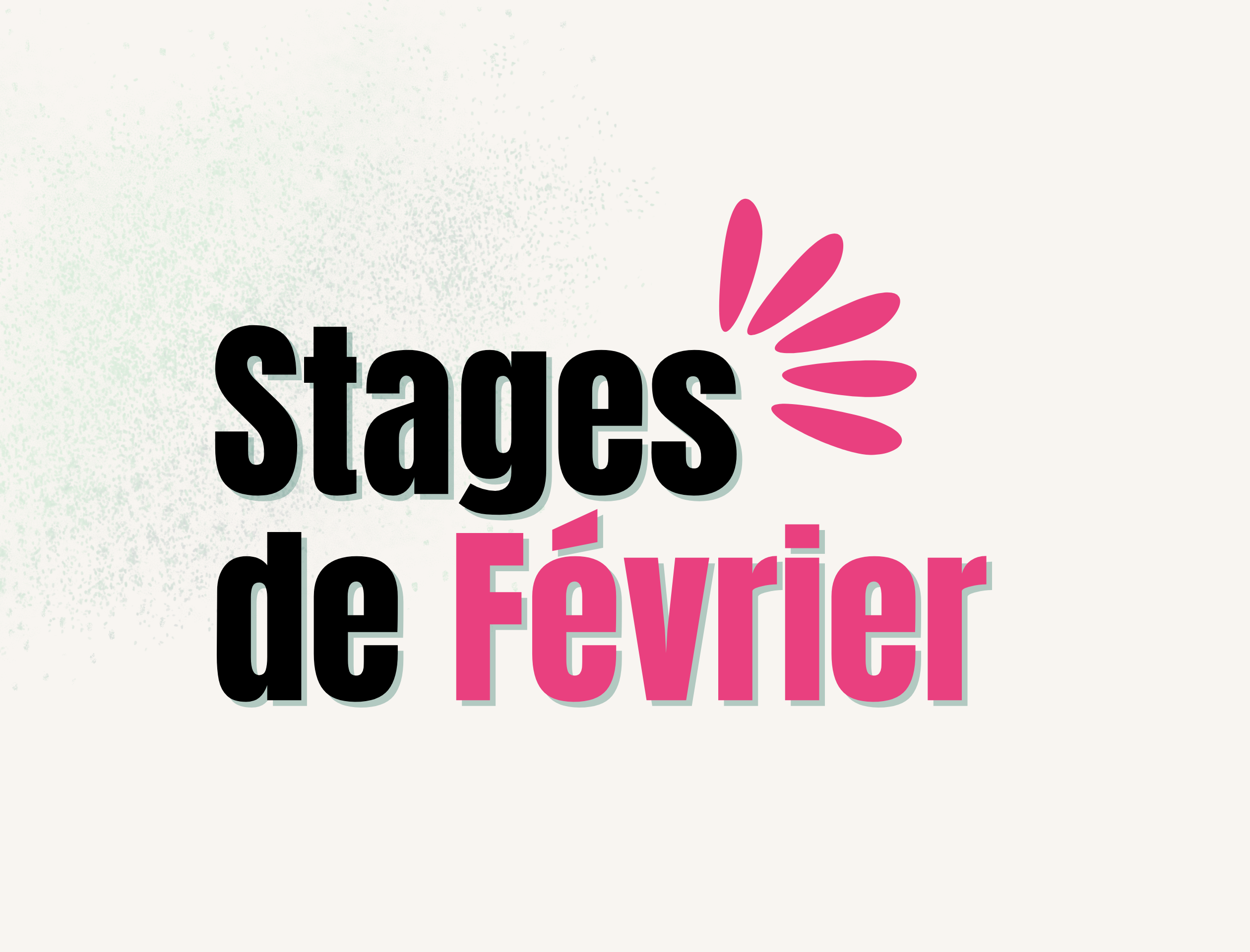 Stages de Février